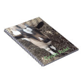 Carnet de chèvre de bébé (Côté Droit)