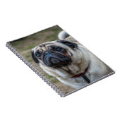 Carnet de chien de carlin (Côté Droit)