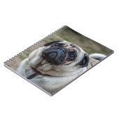 Carnet de chien de carlin (Côté gauche)