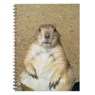 Carnet de chien de prairie mite