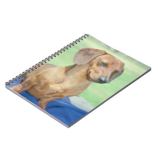 Carnet de chien de teckel (Côté gauche)