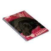 Carnet de chien endormi (Côté Droit)