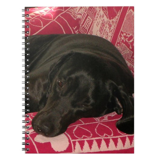 Carnet de chien endormi (Devant)
