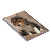 Carnet de chiot de beagle (Côté Droit)