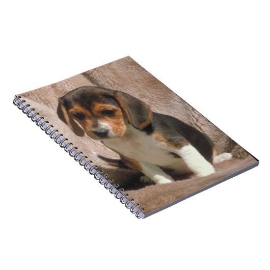 Carnet de chiot de beagle (Côté Droit)