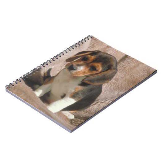 Carnet de chiot de beagle (Côté gauche)