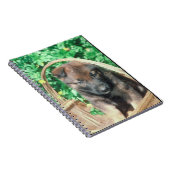 Carnet de chiot de Malinois de Belge (Côté Droit)