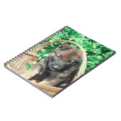 Carnet de chiot de Malinois de Belge (Côté gauche)