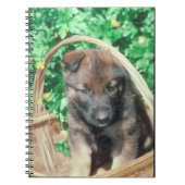 Carnet de chiot de Malinois de Belge (Devant)