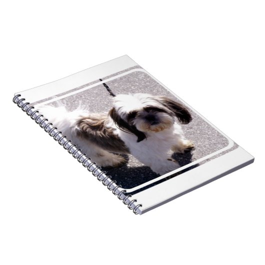 Carnet de chiot de Tsu de Shih (Côté Droit)