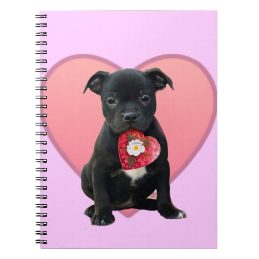 Carnet de chiot du Stafforshire (Devant)