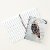 Carnet de Chouette Neige (Intérieur)