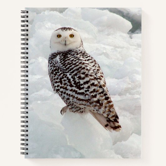 Carnet de Chouette Neige (Devant)
