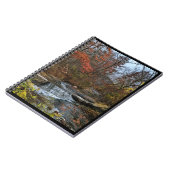 Carnet de chute d'eau (Côté gauche)