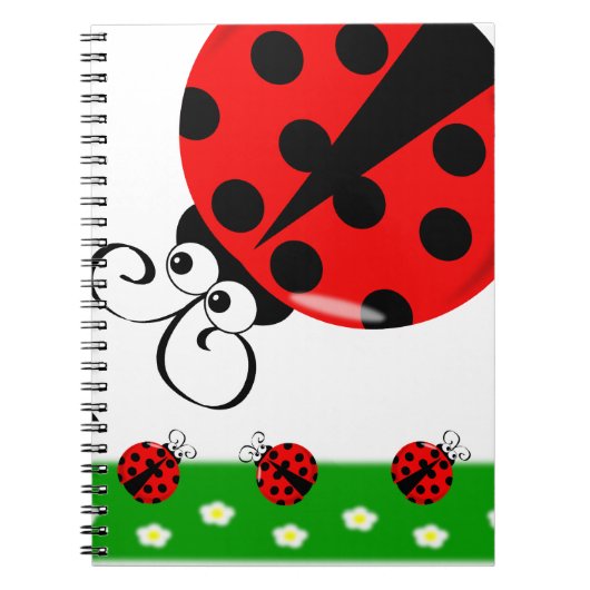 Carnet de coccinelle (Devant)