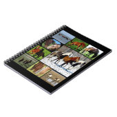 Carnet de collage des chevaux (Côté gauche)