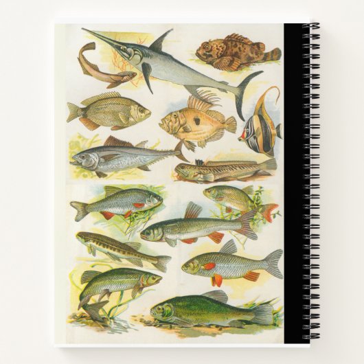 Carnet de composition vintage du poisson (Dos)