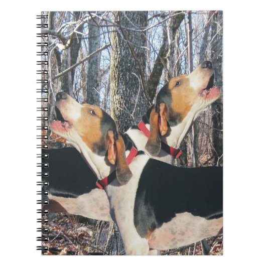 Carnet de Coonhound de marcheur de Treeing de (Devant)