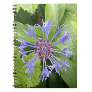Carnet de Cornflower bleu