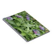 Carnet de Cornflowers (Côté Droit)