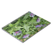 Carnet de Cornflowers (Côté gauche)