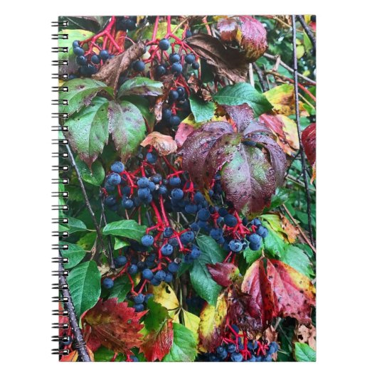 Carnet de couleurs riches (Devant)