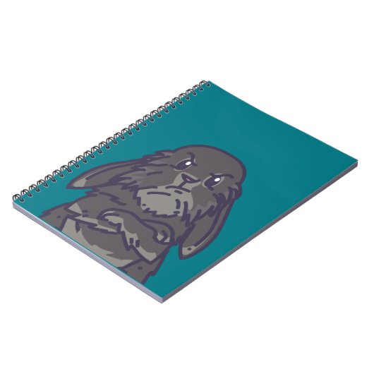 Carnet de Crabbit (Côté gauche)