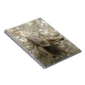 Carnet de cricket Brown Field (Côté Droit)