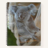 Carnet de Cute Koala (Devant)