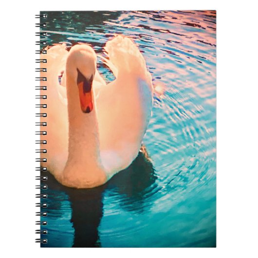 Carnet de cygne (Devant)