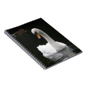 Carnet de cygne blanc (Côté Droit)