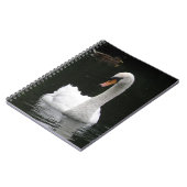Carnet de cygne blanc (Côté gauche)
