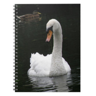 Carnet de cygne blanc