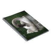 Carnet de cygne endormi (Côté Droit)