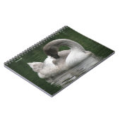 Carnet de cygne endormi (Côté gauche)