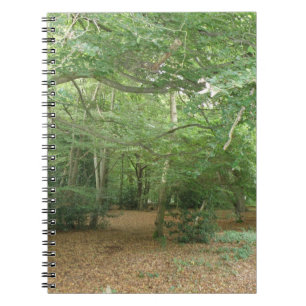 Carnet de défrichement des bois