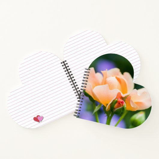 carnet de désir (Intérieur)