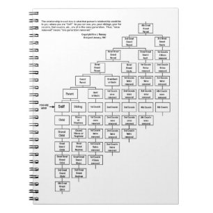 Carnet de diagramme de cousine d'Alice J Ramsey