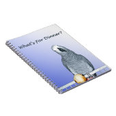 Carnet de dîner de gris africain du Congo (Côté Droit)