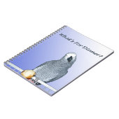 Carnet de dîner de gris africain du Congo (Côté gauche)