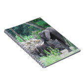 Carnet de famille d'éléphant (Côté Droit)