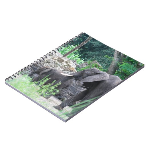 Carnet de famille d'éléphant (Côté gauche)