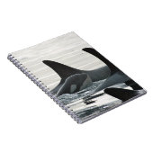 Carnet de famille d'orque (Côté Droit)