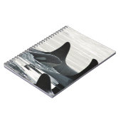 Carnet de famille d'orque (Côté gauche)