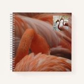 Carnet de Flamant rose (Devant)