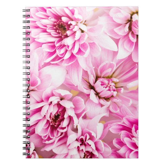 Carnet de fleurs de chrysanthème rose (Devant)