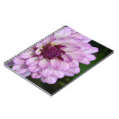 Carnet de fleurs de dahlia violet (Côté gauche)
