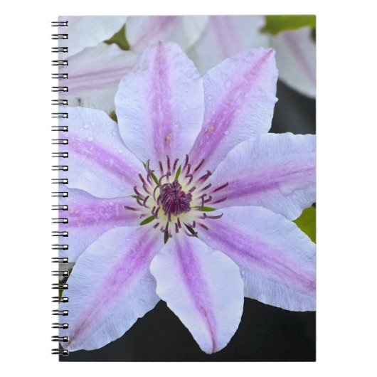 Carnet de fleurs de passion (Devant)