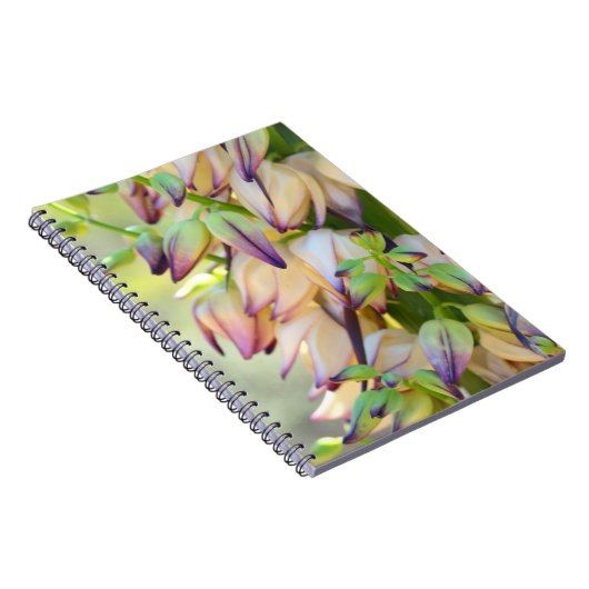 carnet de fleurs de yucca (Côté Droit)