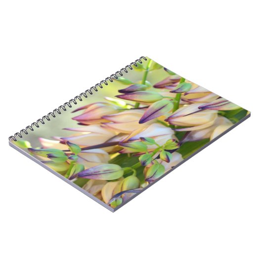 carnet de fleurs de yucca (Côté gauche)